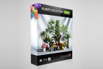 CGAxis植物盆栽3D模型 CGAxis Models Volume 1 Plants