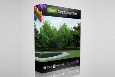 CGAxis第5卷树3D模型 CGAxis Models Volume 5 Trees