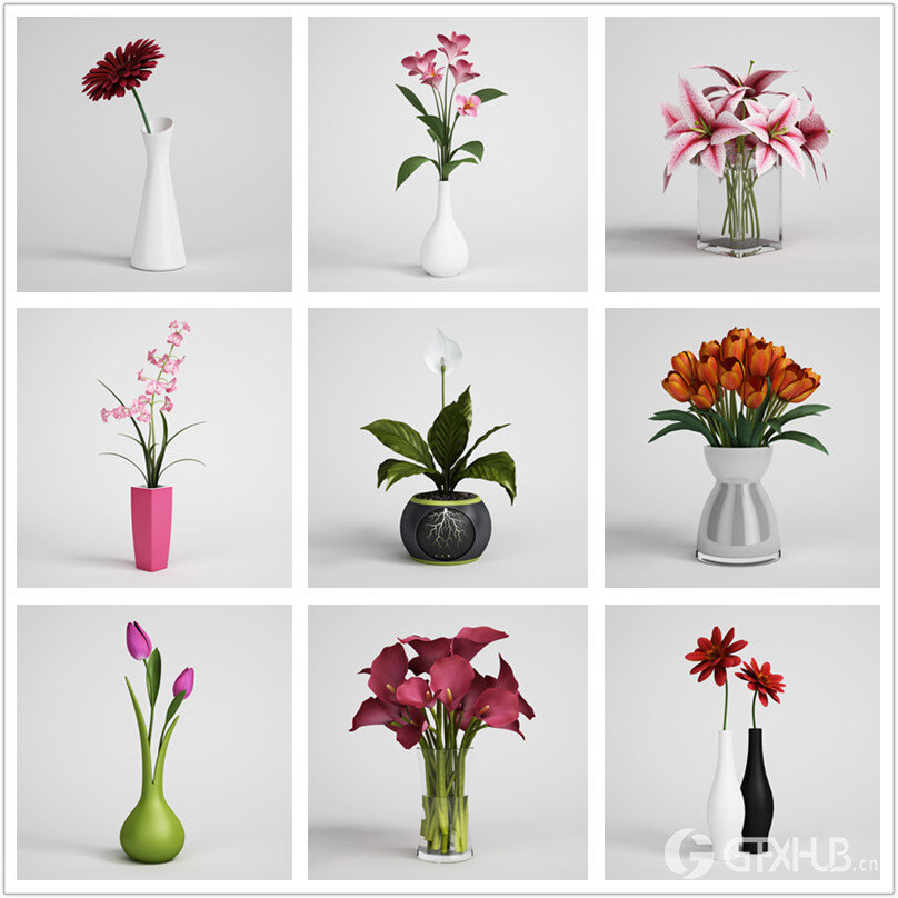 CGAxis第6卷高精度花卉3D模型 CGAxis Models Volume 6 Flowers