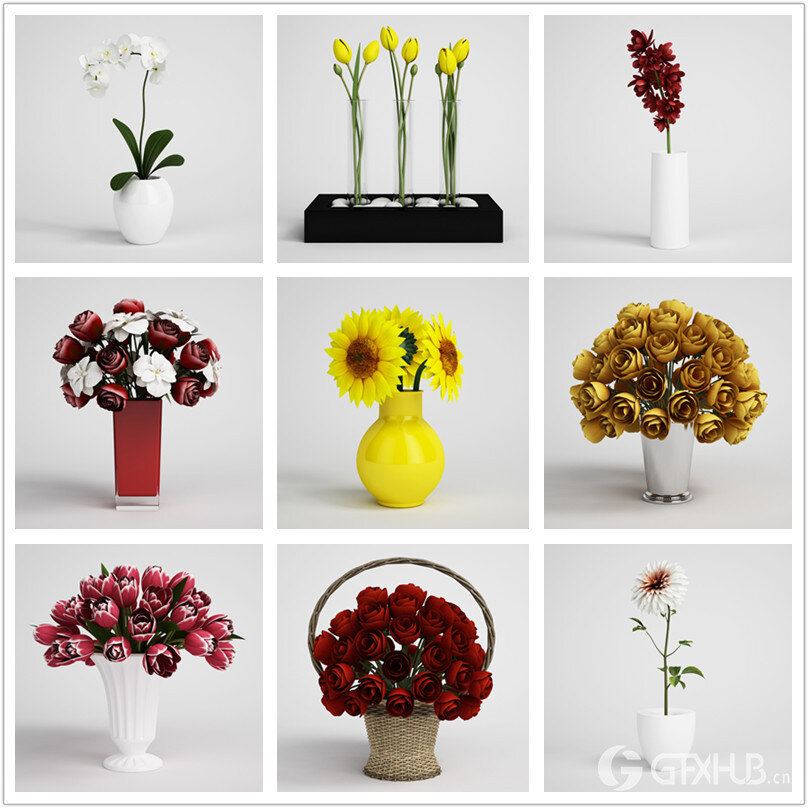 CGAxis第6卷高精度花卉3D模型 CGAxis Models Volume 6 Flowers