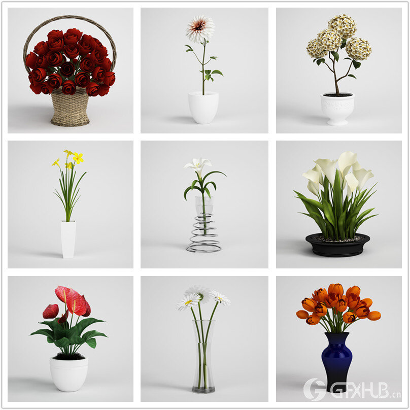 CGAxis第6卷高精度花卉3D模型 CGAxis Models Volume 6 Flowers