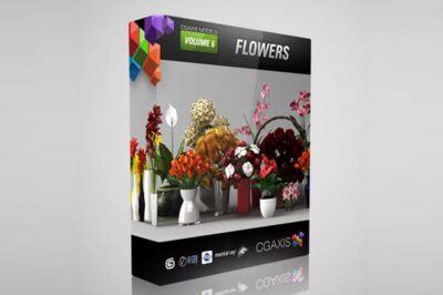 CGAxis第6卷高精度花卉3D模型 CGAxis Models Volume 6 Flowers