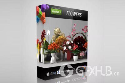 CGAxis第6卷高精度花卉3D模型 CGAxis Models Volume 6 Flowers