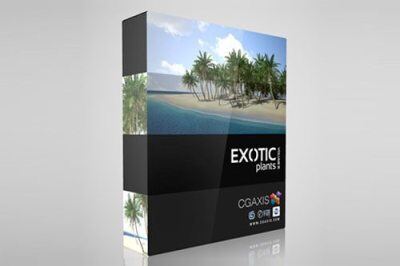 CGAxis第15卷热带树3D模型 CGAxis Models Volume 15 Exotic Plants
