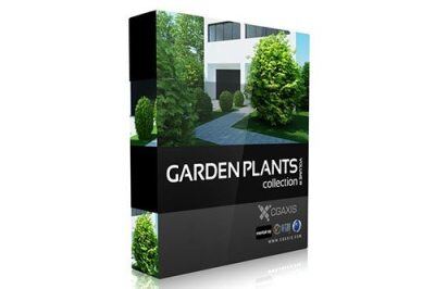 CGAxis第19卷园林植物3D模型 CGAxis Models Volume 19 Garden Plants