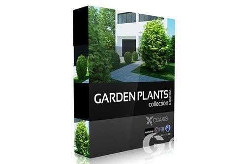 CGAxis第19卷园林植物3D模型 CGAxis Models Volume 19 Garden Plants