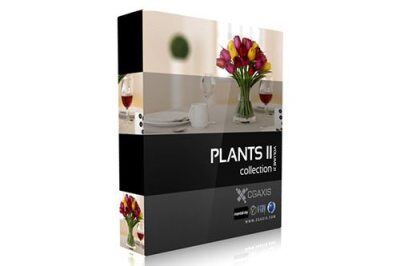 CGAxis第21卷植物盆栽3D模型 CGAxis Models Volume 21 Plants II