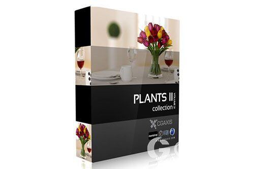 CGAxis第21卷植物盆栽3D模型 CGAxis Models Volume 21 Plants II