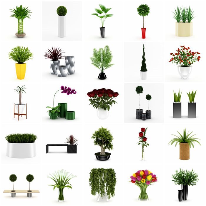 CGAxis第21卷植物盆栽3D模型 CGAxis Models Volume 21 Plants II