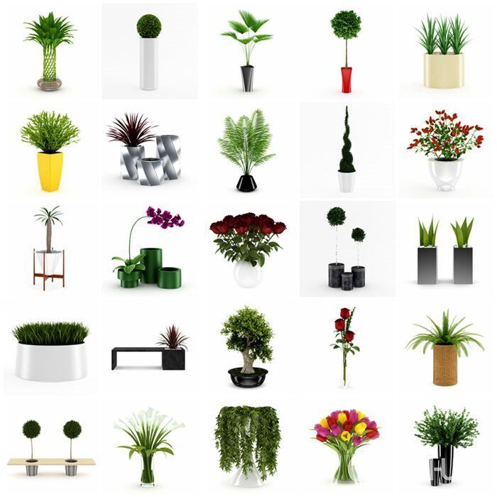 CGAxis第21卷植物盆栽3D模型 CGAxis Models Volume 21 Plants II