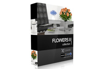 CGAxis第26卷植物花瓶花盆3D模型 CGAxis Models Volume 26 Flowers II