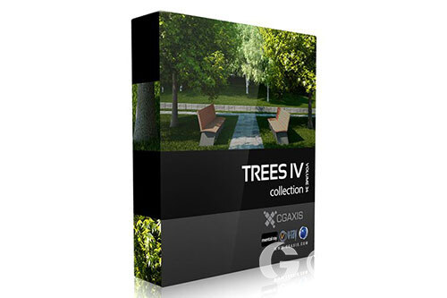 CGAxis第34卷Trees树3D模型 CGAxis Models Volume 34 Trees IV