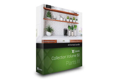 CGAxis第50卷植物盆栽3D模型 CGAxis Models Volume 50 3D Plants III
