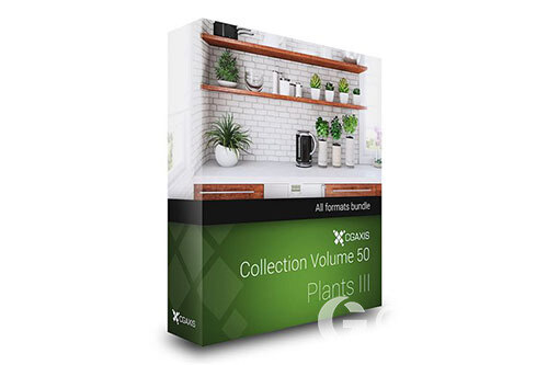 CGAxis第50卷植物盆栽3D模型 CGAxis Models Volume 50 3D Plants III