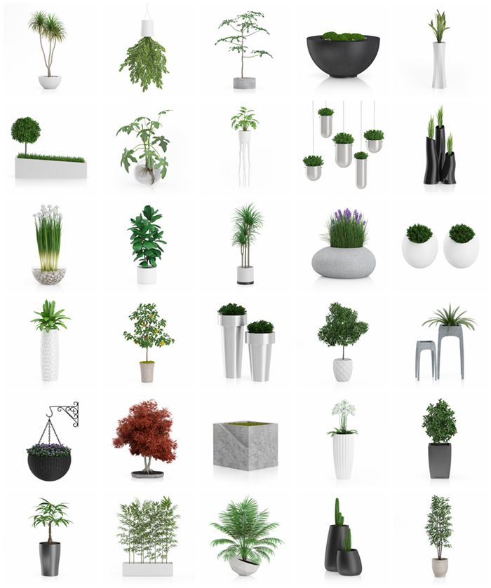 CGAxis第60卷植物盆栽3D模型 3D Plants IV - CGAxis Models Volume 60