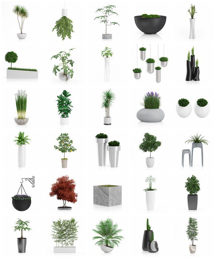 CGAxis第60卷植物盆栽3D模型 3D Plants IV - CGAxis Models Volume 60