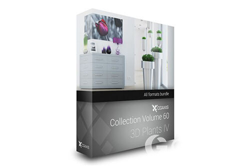 CGAxis第60卷植物盆栽3D模型 3D Plants IV - CGAxis Models Volume 60
