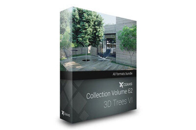 CGAxis第62卷3D树模型  CGAxis Models Volume 62 3D Trees VI