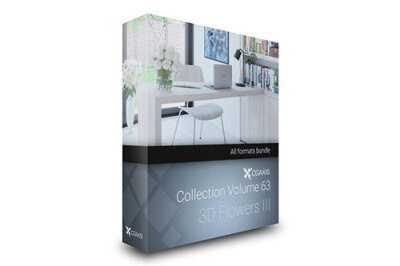 CGAxis第63卷花瓶3D模型 CGAxis Models Volume 63 3D Flowers III
