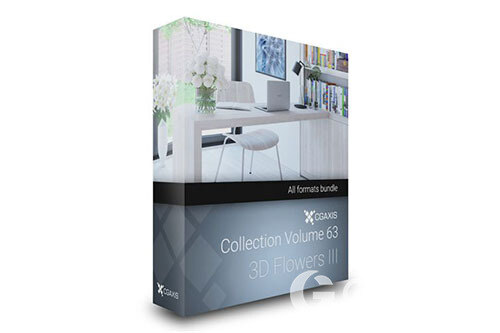 CGAxis第63卷花瓶3D模型 CGAxis Models Volume 63 3D Flowers III