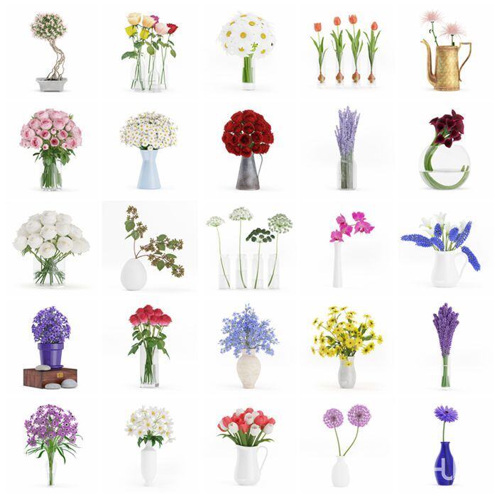 CGAxis第63卷花瓶3D模型 CGAxis Models Volume 63 3D Flowers III