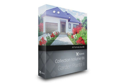 CGAxis第66卷园林植物3D模型  CGAxis Models Volume 66 Garden Plants II