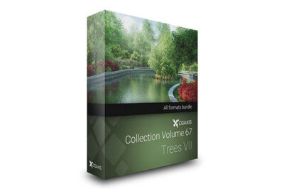 CGAxis第67卷树3D模型 CGAxis Models Volume 67 Trees VII
