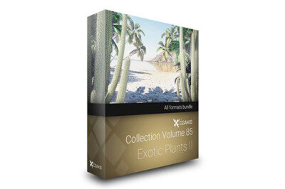 CGAxis第85卷热带植物3D模型 CGAxis Models Volume 85 Exotic Plants II