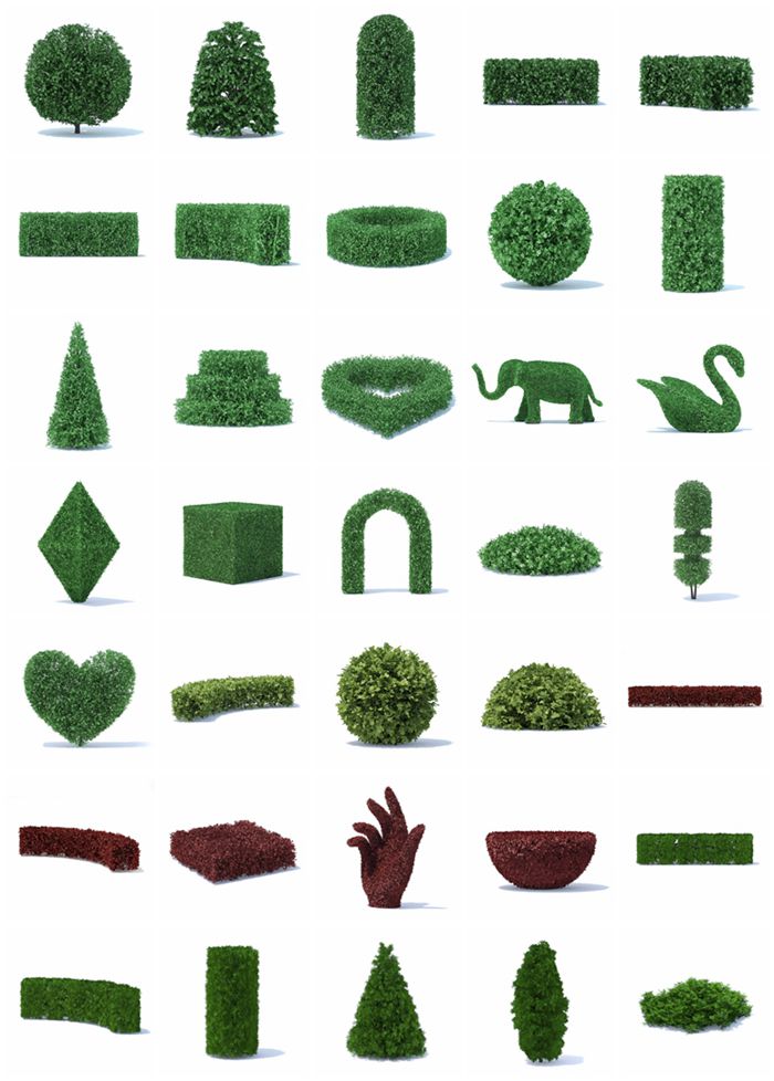 CGAxis第89卷灌木植物3D模型 Hedges 3D Models Collection - Volume 89