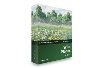 CGAxis第91卷花卉草坪系列3D模型 Wild Plants 3D Models Collection – Volume 91