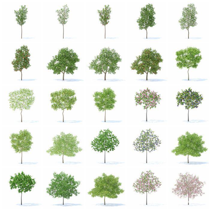 CGAxis第95卷果树植物3D模型 Fruit Trees 3D Models Collection - Volume 95