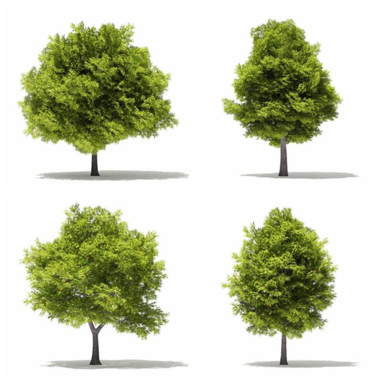 CGAxis植物树木3dmax模型 Trees 3D Models Collection - Volume 109