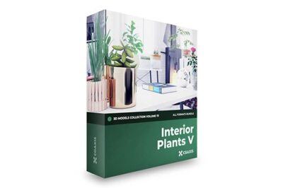 CGAxis室内植物盆栽盆景3D模型  Interior Plants 3D Models Collection – Volume 111