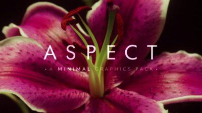 200+ 极简主义图形元素转场动画视频素材 Aspect 200+ Minimalist Graphic Elements