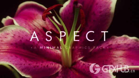 200+ 极简主义图形元素转场动画视频素材 Aspect 200+ Minimalist Graphic Elements