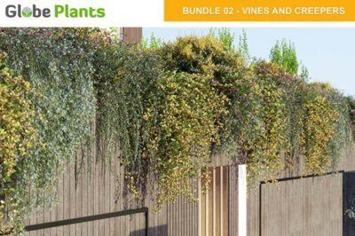 15种75个蔓藤植物和爬山虎3D模型 Bundle 02 – Vines And Creepers