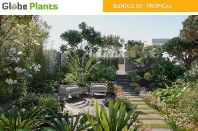19种90个灌木\蔓藤\树木\热带植物3d模型 Bundle 05 – Tropica Plants