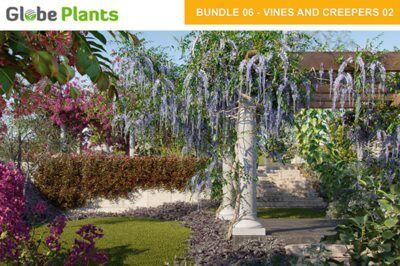 15种80个藤蔓和爬山虎植物3D模型 Bundle 06 – Vines and Creepers 02