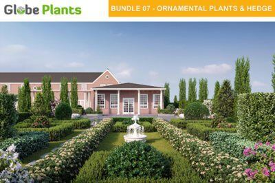 15种98个观赏植物树篱灌木3D模型下载 Bundle 07 – Ornamental Plants & Hedges