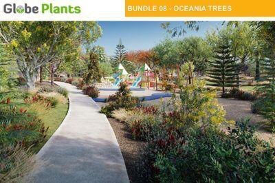 16种90个大洋洲树木3D模型 Bundle 08 – Oceania Trees