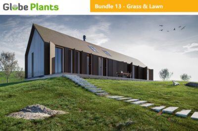 11种171个草地草坪3D模型下载 Bundle 13 – Grass & Lawn