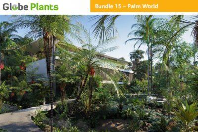 15种79个棕榈树和灌木3D模型 Bundle 15 – Palm World
