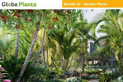 15种76个园艺植物3D模型 Bundle 32 – Garden Plants