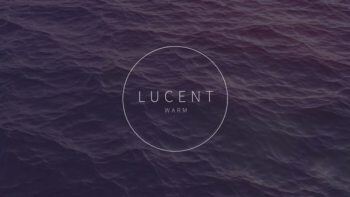 140个温暖柔和镜头光晕耀斑光效叠加4K视频素材 Lucent Warm 140 Lens Flares