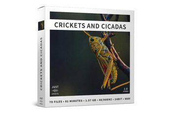 蟋蟀、蝉、蚱蜢自然的音乐之声音效合集 Crickets and Cicadas