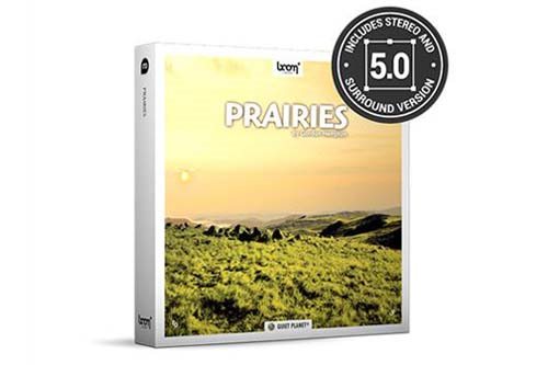 大草原虫鸣鸟叫风声自然环境立体声无损音效 Prairies