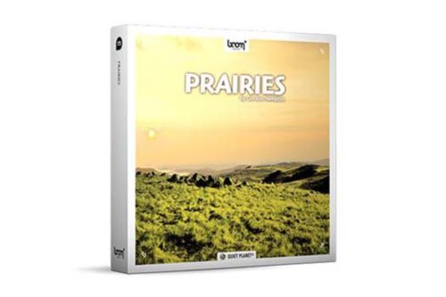大草原虫鸣鸟叫风声自然环境立体声无损音效 Prairies