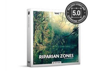森林河边绿地虫鸣鸟叫大自然环绕声音效 Riparian Zones