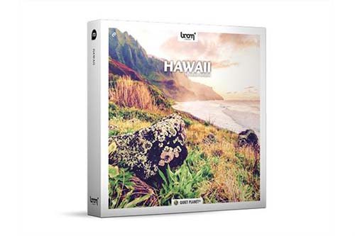 夏威夷海岸虫鸣鸟叫自然环境环绕立体音效 Hawaii