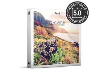 夏威夷海岸虫鸣鸟叫自然环境环绕立体音效 Hawaii